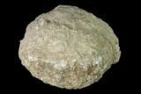 Keokuk Quartz Geode with Calcite Crystals - Iowa #144693-1